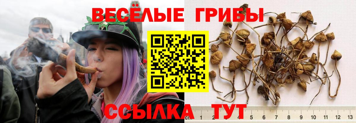 Псилоцибиновые грибы прущие грибы  Вход с VPN  Волжский  закладка  Галлюциногенные грибы ЛСД 