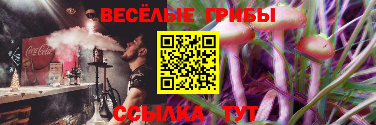 Галлюциногенные грибы мицелий Волжский